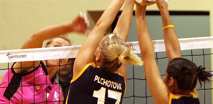 免费ddos攻击网页端